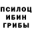 Псилоцибиновые грибы Psilocybe Ai Kami