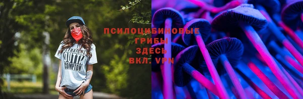 прущая мука Абаза
