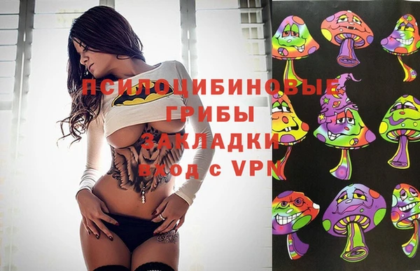 шишки Абдулино