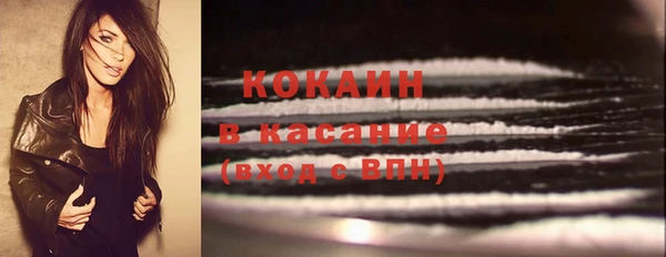 шишки Алексин