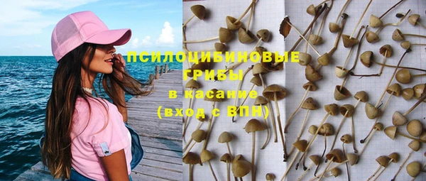 шишки Абдулино