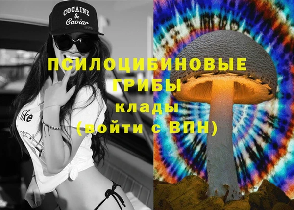прущая мука Абаза