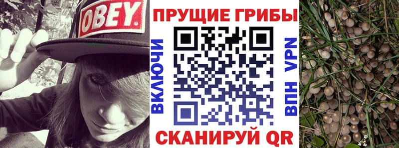 Псилоцибиновые грибы Psilocybine cubensis  ссылка на мегу ссылка  Кашира 