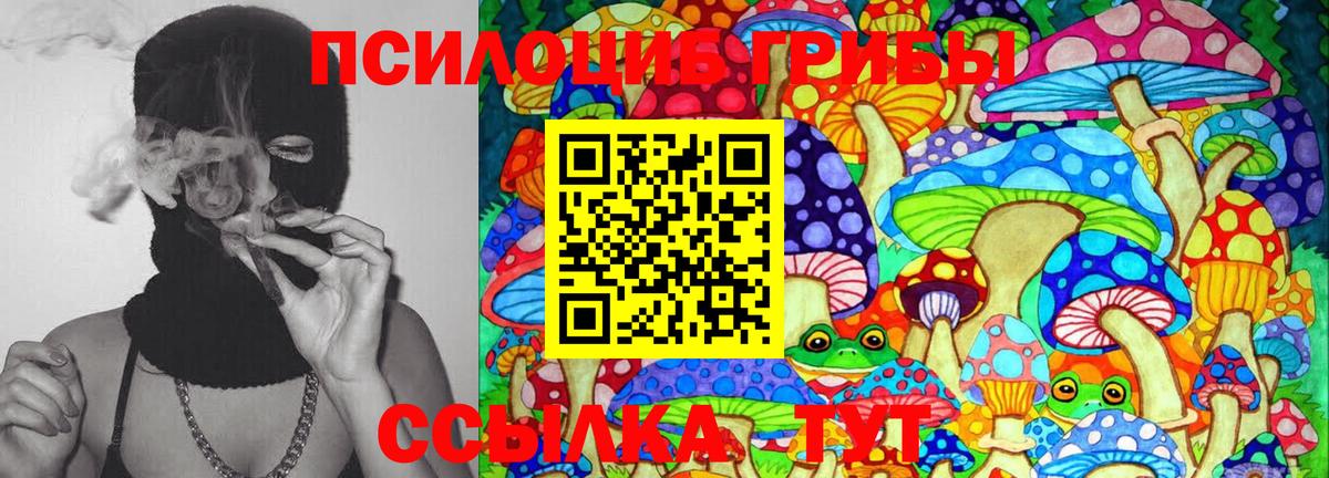 Галлюциногенные грибы ЛСД  Вход с VPN  где найти   Кашира 