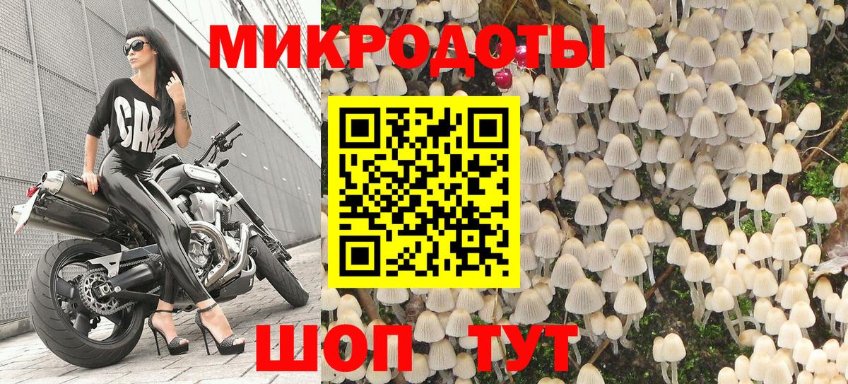 Галлюциногенные грибы MAGIC MUSHROOMS Кашира